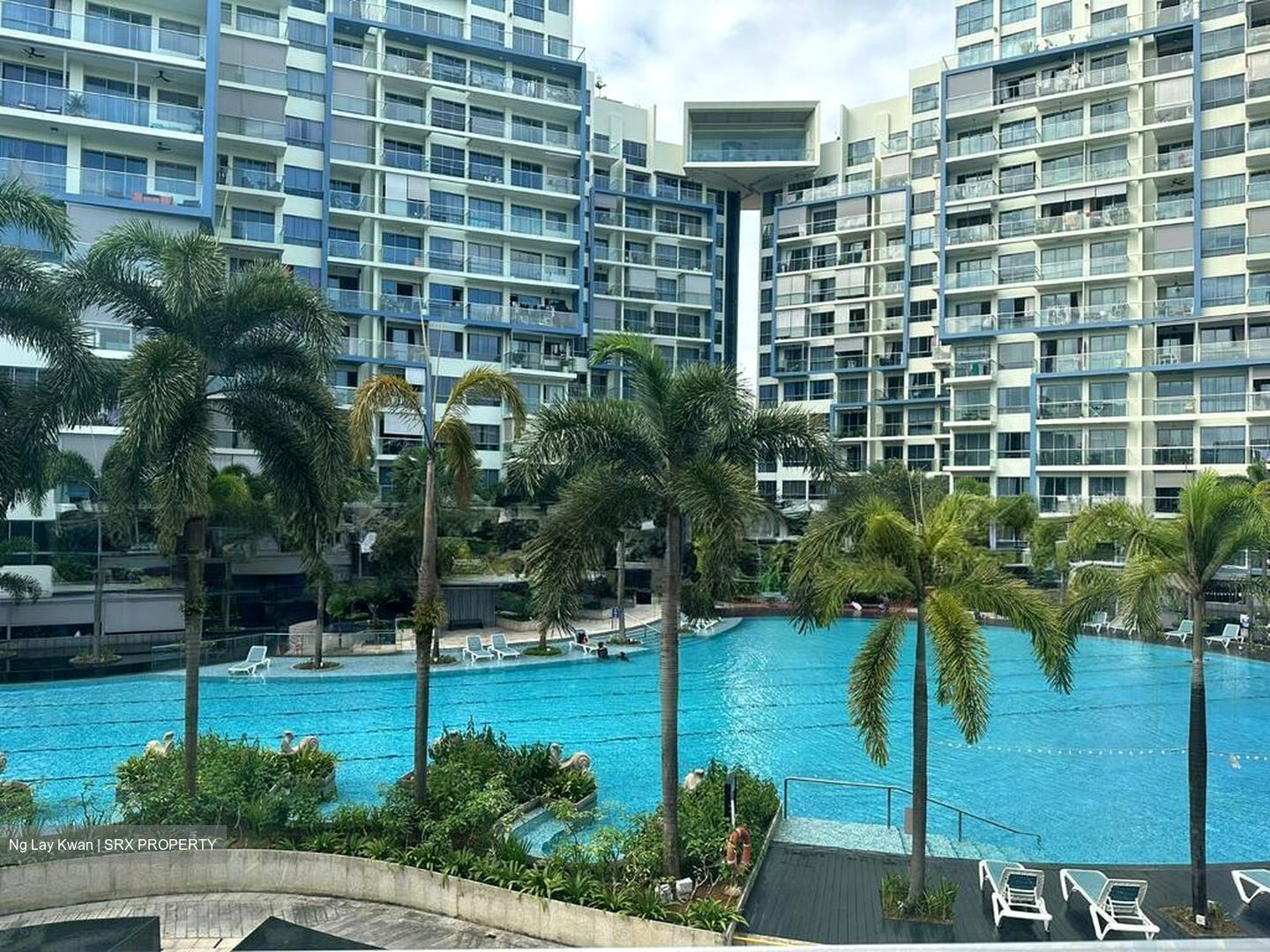 Miltonia Close (D27), Terrace #511437111
